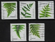 OFF paper #4973-77 Ferns-Dated 2014-micro (used set of 5) Forever 2015 _f192
