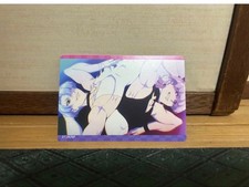 Panty  Stocking with Garterbelt Trading Card  Wafer Has Polyester/UE material 