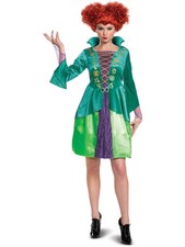 Hocus Pocus Winifred Sanderson Witch Classic Women's Costume