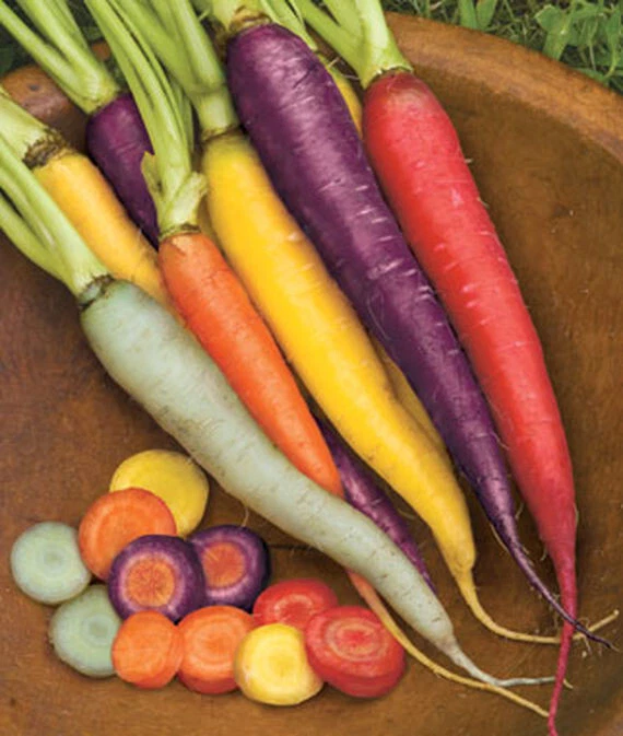 Carrot Seeds
