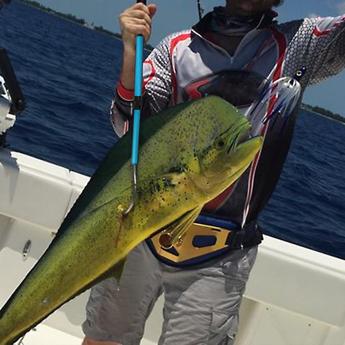 Telescopic Fish Gaff with Stainless Sea Fishing Spear Hook Tackle, Soft Handle A - Picture 7 of 12