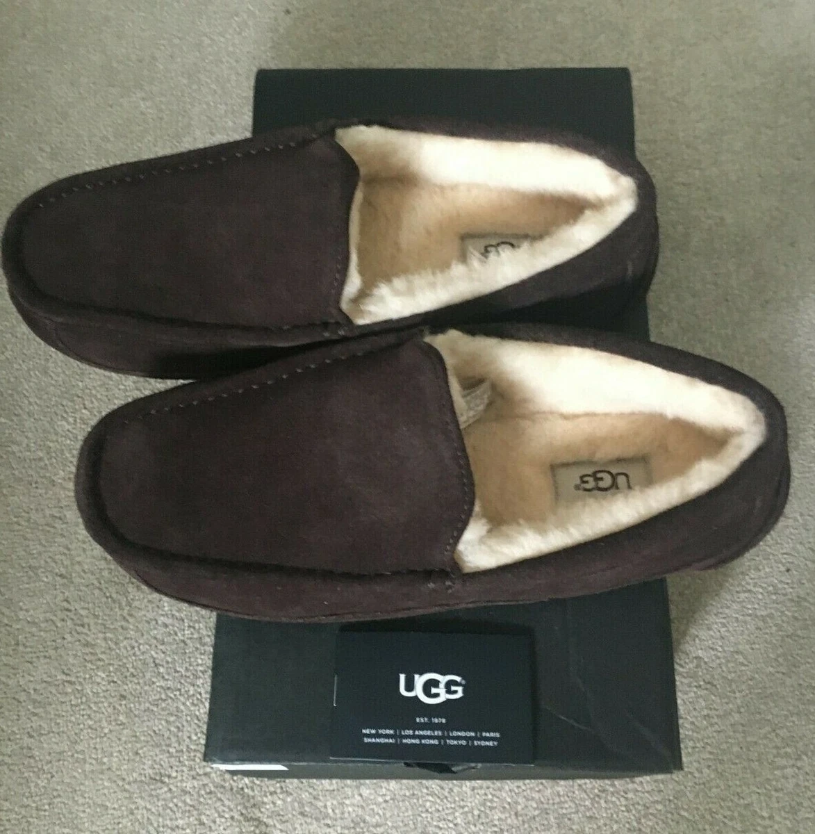 UGG SLIPPERS for Men Size 7 Ascot Espresso Suede 91.99