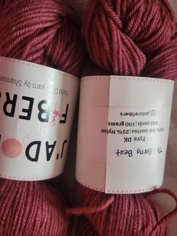J'adore Fibers Hand Dyed Yarn, DK,2 Skeins  NEW, Merino Nylon