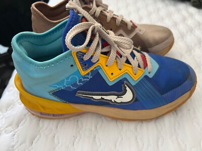 Nike Youth LeBron 18 Low Space Jam Wile E Coyote Road Runner