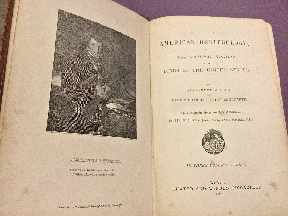 Rare 1876 Alexander Wilson American Ornithology Inspired Audubon - Image 2 of 4