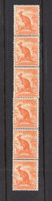 AUSTRALIA PREDECIMAL 1950 1/2 PENCE KANGAROO NO W/MARK COIL STRIP VERY FINE MNH,