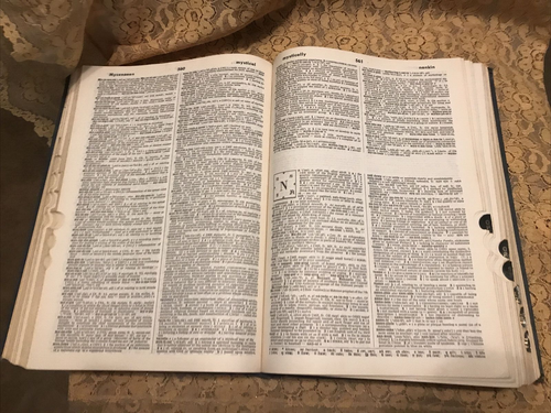 Webster's Seventh New Collegiate Dictionary Hardcover 1967 - Bild 8 von 12