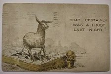 Certainly Was A Frost Last Night Donkey Postcard Posted Dayton Ohio 1917 Vintage