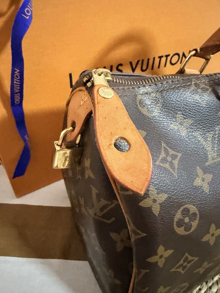 Louis Vuitton Speedy, foto 2 de 5