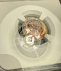 1958 Roosevelt Silver Dime NGC MS 66 ~ Beautiful Toning Both Sides