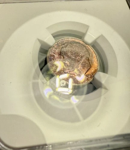 1958 Roosevelt Silver Dime NGC MS 66 ~ Beautiful Toning Both Sides