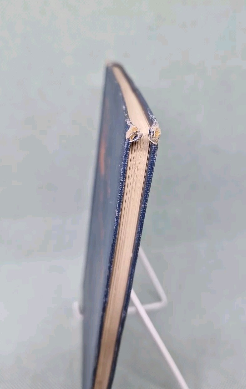 Picture 4 of 9