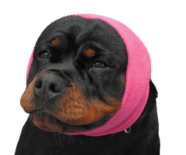 Dog Wash Happy K9 Grooming Grooming Salon Kelly's Cuts Mobile