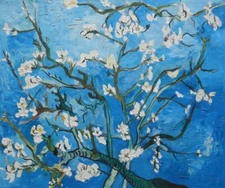 20x24 Almond Blossoms By Van Gogh Oil Painting Post Impressionism Flower