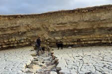 Photo 6x4 Fault dislocation at Hinkley Point Burton/ST1944 The strata in c2017
