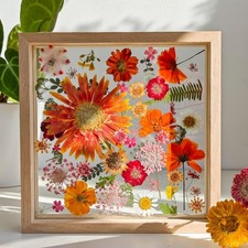 Pressed Flower Frame - Wooden Double Glass Frame with Dried Flowers, Boho Bot...
