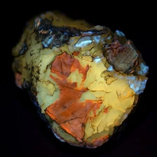 Petrified Wood,  Fluorescent. Eden Valley, Wyoming. 107 grams.
