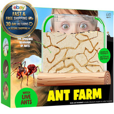 Ant Farm Kit for Kids - Farms Colony - Includes Ants Voucher - Sand Habitat