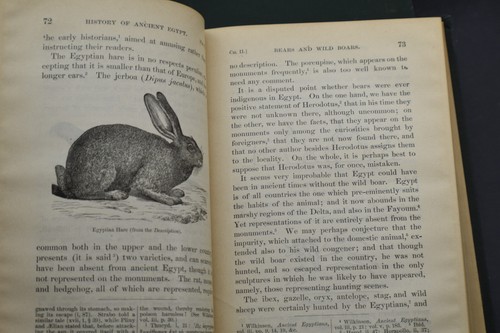 Ca 1892 History of Ancient Egypt George Rawlinson - Picture 15 of 23