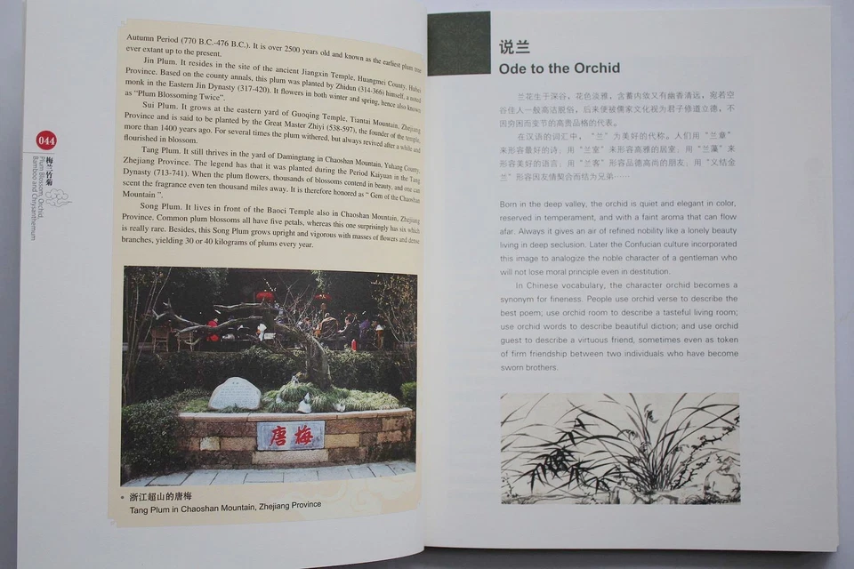 (English-Chinese)Book Plum Blossom Orchid Bamboo Chrysanthemum History Culture - Image 4 of 4