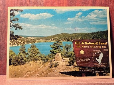 Vintage Gila National Forest Lake Roberts Postcard Silver City NM 1980s