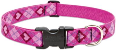 Lupine Originals ''Puppy Love'' Dog Collars & Matching Leashes