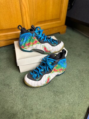 Size 10 Nike Air Foamposite One Premium Weatherman Pre