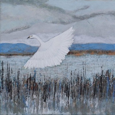 The New Leaves A Sketch of Home (CD) Album (UK IMPORT)