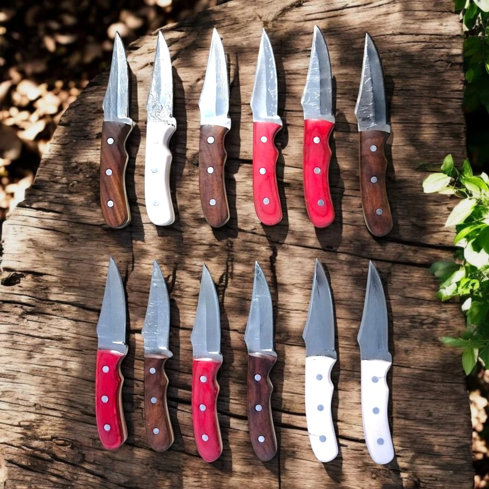 “12 PCS Custom Handmade Kitchen Paring Knife Set | Wood Handle Utility Chef”
Opens in a new window o