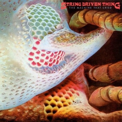 STRING DRIVEN THING - THE MACHINE THAT CRIED (EXPAND.+REMAST.)  CD NEU 