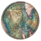 1884-O NGC MS63 CAC MORGAN $ "BINION COLLECTION" RAINBOW TONING (VIDEO} **
