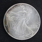 1 oz Fine Silver - Commemorative Silver Eagle Round, 1995