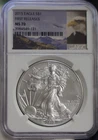 2015 US Silver Eagle $1 NGC MS70 First Releases Eagle Label