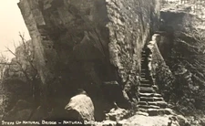 Steps Up Natural Bridge State Park Knetucky Postcard UNP Cline RPPC Scenic View