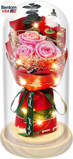 Preserved Flowers in Glass for Her,Pink Real Rose Bouquet with LED Light,Eternal