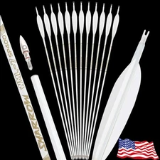 6X 32" Archery Pure Carbon Arrows 5" Feather SP500 Compound Recurve Bow Hunting