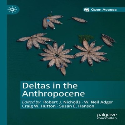 Deltas in the Anthropocene Springer Nature B.V. Paperback Springe