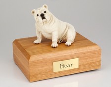 Bulldog, White Pet Funeral Cremation Urn Avail in 3 Different Colors  4 Sizes