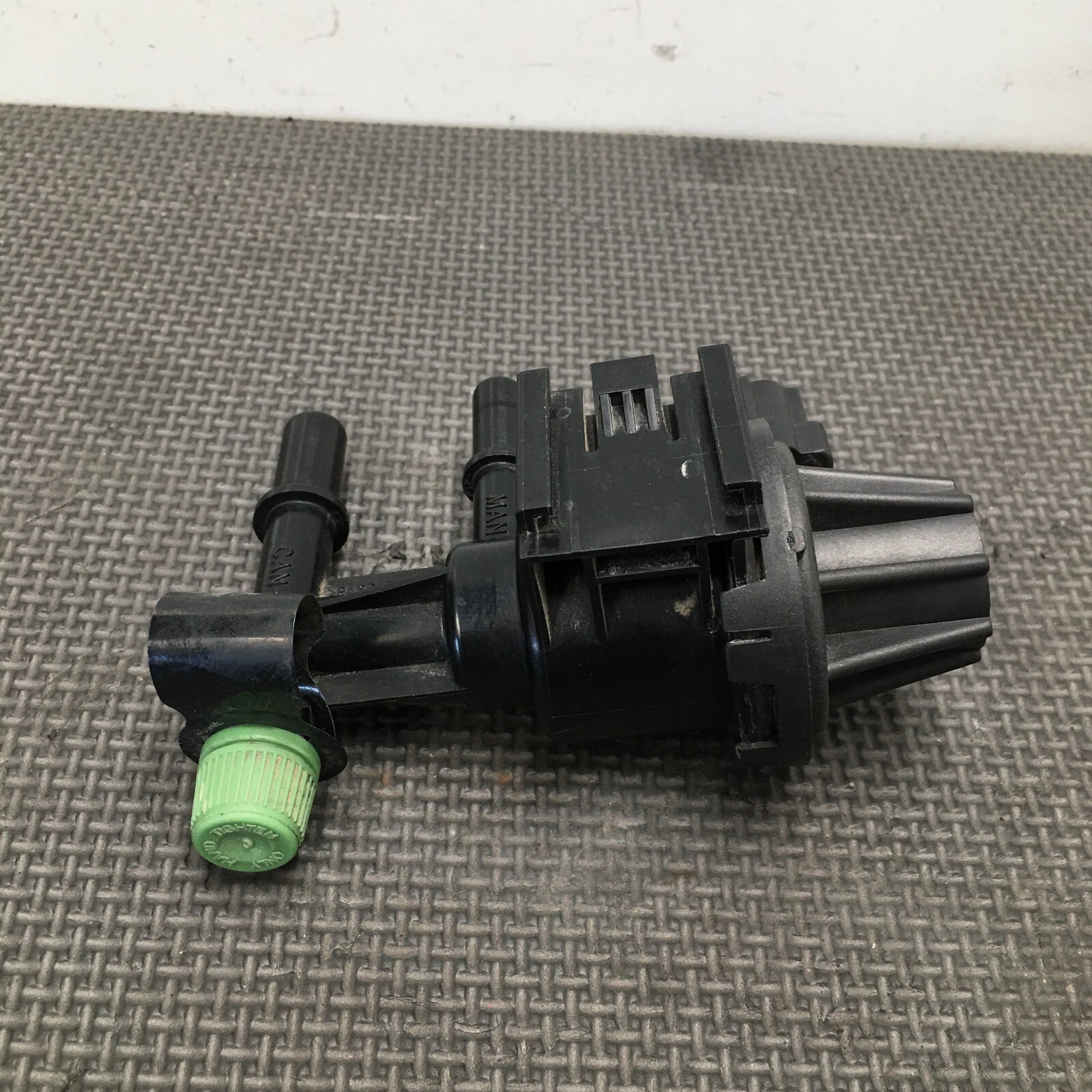 大量入荷 美品 TDI パパベル その他 - education.semel.ucla.edu