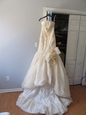 Stunning Avine Perucci of St. Pucci Wedding Gown EUC