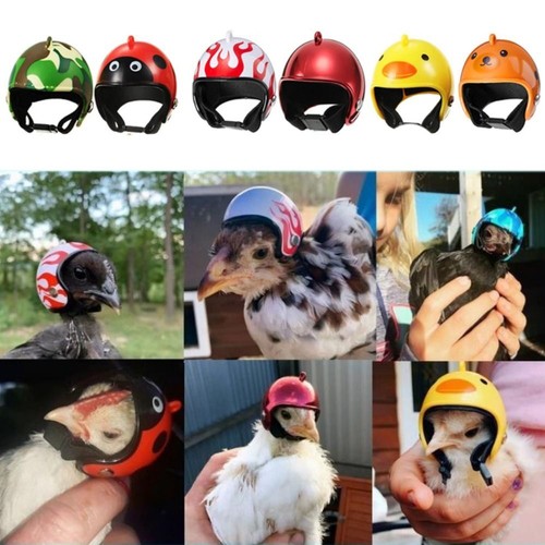 Cartoon Pet Chicken Helmet Plastic Small Pet Hard Hat Outdoor - 第 9/26 張圖片