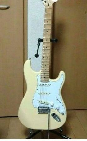 Stratocaster/Scallop/Dimarzio/Hs3
