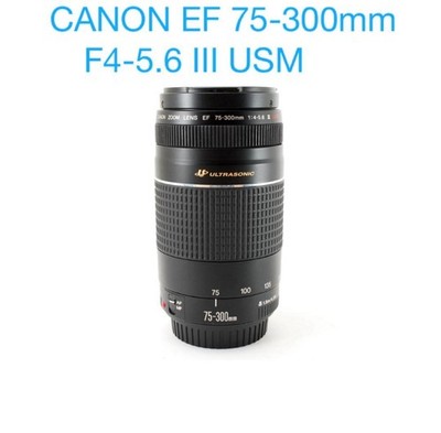 Canon EF 75-300mm F4-5.6 III USM Telephoto Zoom Lens for EOS Cameras