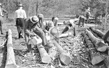 Men Stripping Log Bark Wilson Cedar Forest Lebanon Tennessee TN - Reprint