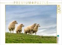 Calvendo Puzzle A Motif From The Calendar Nature Experience RøMø | 2000 Pieces,
