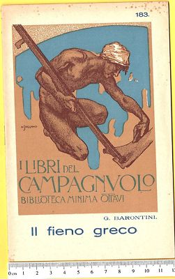 Die Bücher Des Campagnuolo Biblioteca Ottavi - Nr. 183 - 1926