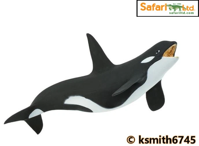 Safari ltd store killer whale