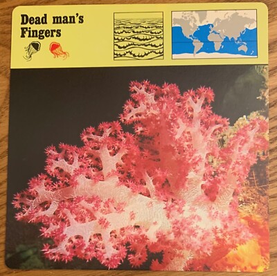 DEAD MAN'S FINGERS, 1977 EDITIONS RECONTRE COLLECTIBLE 4 3/4'' x 4 3/4'' CARD