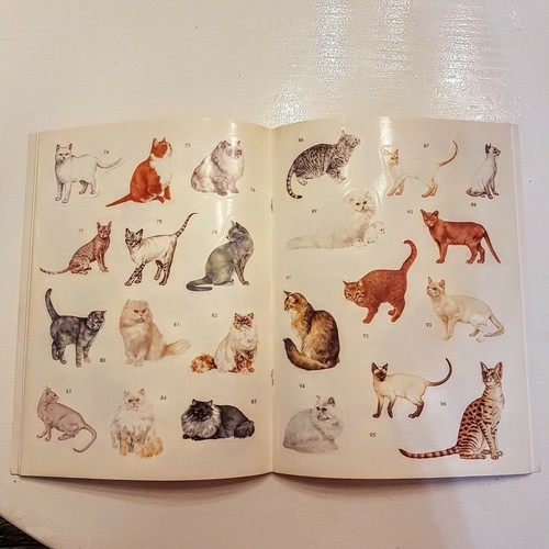 Usborne Spotters Guide Cats Activity Book Breed Illustration Reusable Stickers - Bild 4 von 6