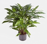 Artplants Kunstpflanze Calathea Bahati, 125 BläTter, GrüN, 85Cm